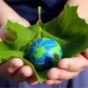 Ученые советуют создать экологическую экономическую модель мира