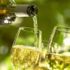 Ученые рассказали, почему женщинам не желательно пить белое вино
