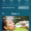 «Яндекс» передал «Дзен» индийцам — производителю телефонов Micromax
