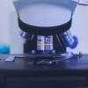 Клинический анализ крови: от светового микроскопа к гематологическим анализаторам