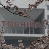 Toshiba сообщила кредиторам, что ей трудно будет договориться с Western Digital