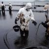 Сибирские ученые создали бактерии, которые способны уничтожать нефть