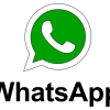 WhatsApp позволит отправлять файлы любого типа, ограничением будет выступать лишь размер