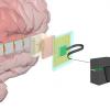 DARPA заказало разработку мозговых имплантатов высокого разрешения для интерфейса «мозг-компьютер»