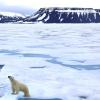 Во льдах Плавучего Континента: история исследования Арктики