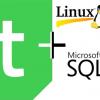 Установка MS SQL ODBC Driver под Linux и сборка плагина для Qt 5.9