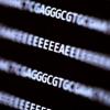 Компьютер можно сломать с помощью синтетической ДНК, — результаты исследования