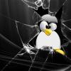 Kali Linux: политика безопасности, защита компьютеров и сетевых служб