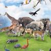 В 2100 году многие виды животных вынуждены будут исчезнуть с планеты