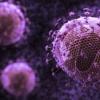 Новое антитело атакует 99% штаммов ВИЧ