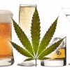 Специалисты рассказали, как марихуанна и алкоголь влияют на успешность человека