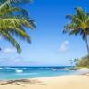 eBay удаляет товар «Гавайский песок»
