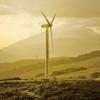 Коста-Рика установила новый рекорд по использованию возобновляемых источников энергии