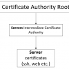 От Root CA до User Authorization в nginx+apache. Часть 1. Создаем Root&Intermediate Certificate Authority
