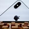 Apple начнет переводить Ирландии средства, связанные с недоплатой налогов, в следующем квартале