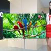 В будущем году LG Display сосредоточится на выпуске панелей OLED размером 65 и 77 дюймов