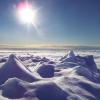 Даже в суровых условиях снежного полюса могут существовать бактерии