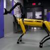 Видео дня: «побег» роботов Boston Dynamics из закрытого помещения