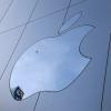 Apple будет хранить некоторые ключи шифрования iCloud в Китае