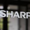 Sharp переведет часть мощностей с технологии LTPS на IGZO и нарастит производство панелей OLED