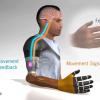 Виброотклик в протезах: новый способ улучшить контроль за бионическими конечностями