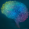 Новый алгоритм позволит симулировать нейронные связи целого мозга человека на будущих экзафлопных суперкомпьютерах