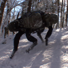 Вспоминаем легенду: как устроен BigDog от Boston Dynamics
