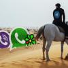 7 причин, по которым Viber/ICQ/WhatsApp/FB не могут полностью заменить Telegram