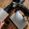 Эксперименты на котиках: как увеличить количество покупок в приложении