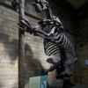 По мнению ученых, доисторические животные умерли именно из-за людей