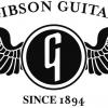 «Существенные успехи» привели к банкротству Gibson
