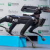 Роботы Boston Dynamics SpotMini в следующем году поступят в продажу