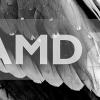AMD Fenghuang APU засветился в 3DMark — быстрее чипов Intel серии G