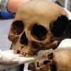 В Мексике обнаружено колоссальное хранилище черепов: кровавая религия ацтеков