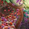 Ученые создали искусственные клетки для борьбы с раком: революция в онкологии