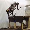 Робот запрыгивает на стол и видит без глаз: рекордный прыжок