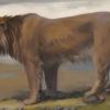 Где водились самые крупные львы за всю историю Земли: современные раскопки