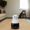 Предварительные заказы на домашнего робота Kuri выполнены не будут