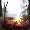 5 простых способов разжечь огонь без спичек на природе