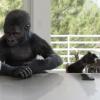 Защитное стекло Gorilla Glass 6 дебютирует на смартфоне OPPO