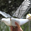В Китае испытывают шпионские дроны, неотличимые от птиц
