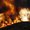 Пожар «Карр» в Калифорнии: на самолете сквозь огненный ад