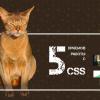 5 приемов работы с CSS, о которых вам следует знать