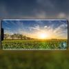 Смартфон Samsung Galaxy S10 выйдет в пяти цветах