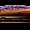 ФАС рассмотрит жалобу о возможном ценовом сговоре продавцов новых iPhone