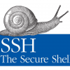Алгоритм работы протокола SSH