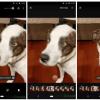 Камера Google Pixel 3 предложит режимы Top Shot, Photobooth, Super Res Zoom и не только