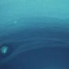 Темный вихрь на Нептуне: загадочная аномалия