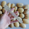 Студент создал «пластик» из картофеля