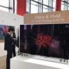 Китайская компания BOE напечатала 55-дюймовый OLED-экран